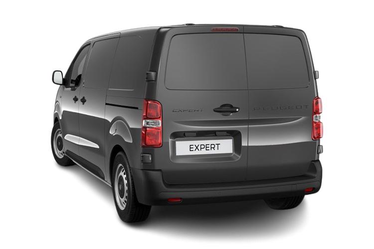 expert_l1_diesel_59801 backside.jpeg