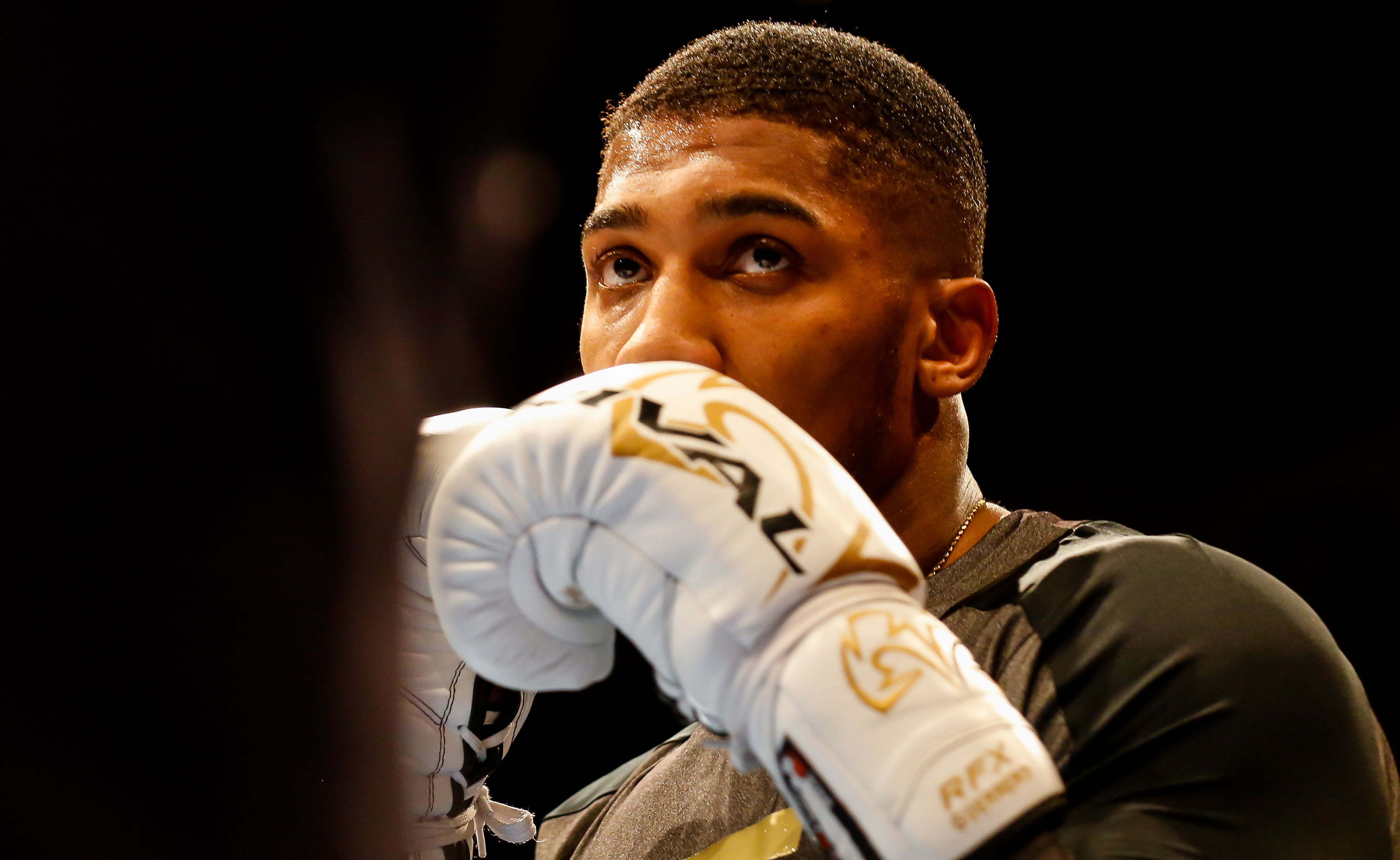  When a Champion Survives — and Others Don’t: A Hard-Hitting Lesson on Seatbelts