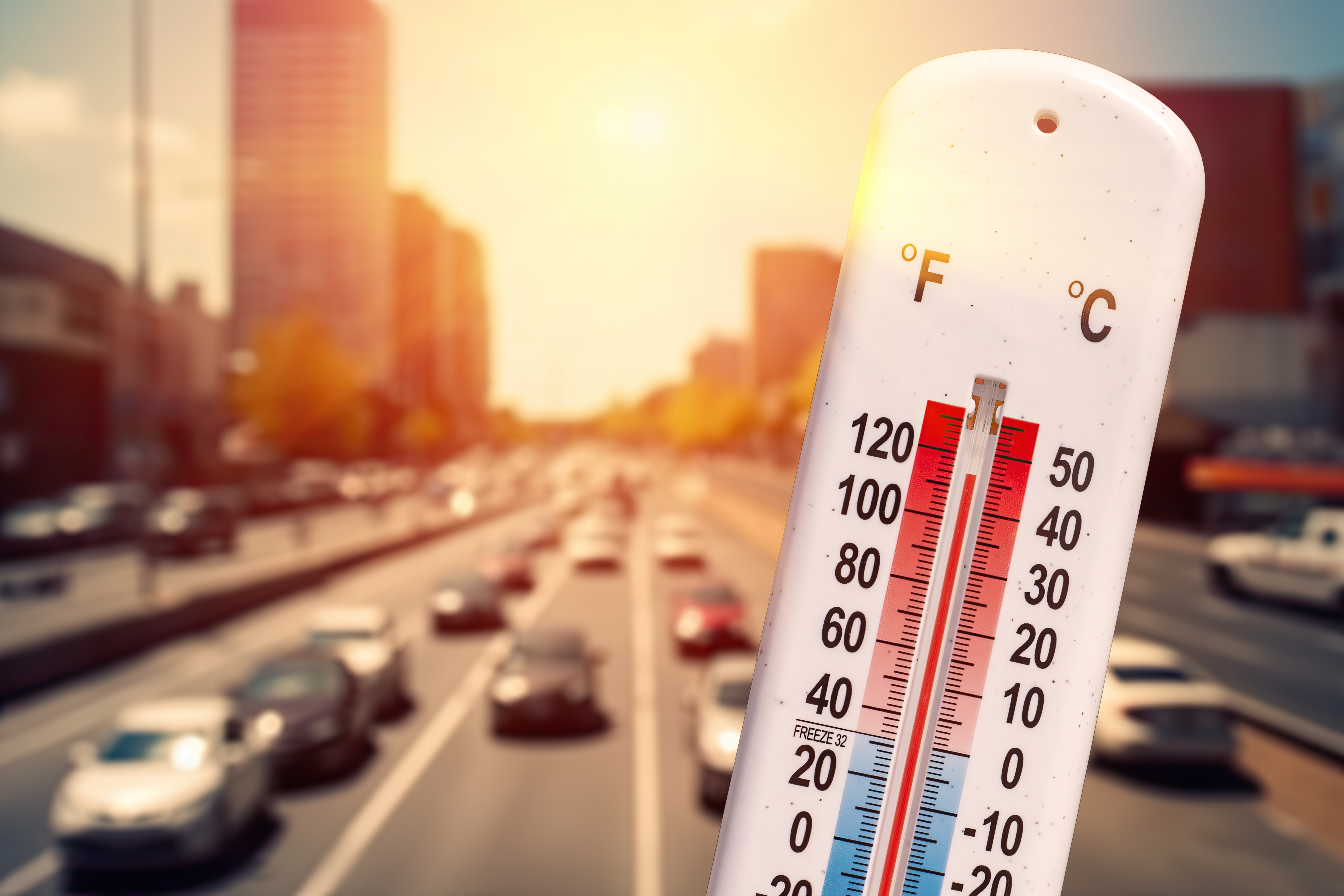 How To Keep Your Car Safe in a Heatwave