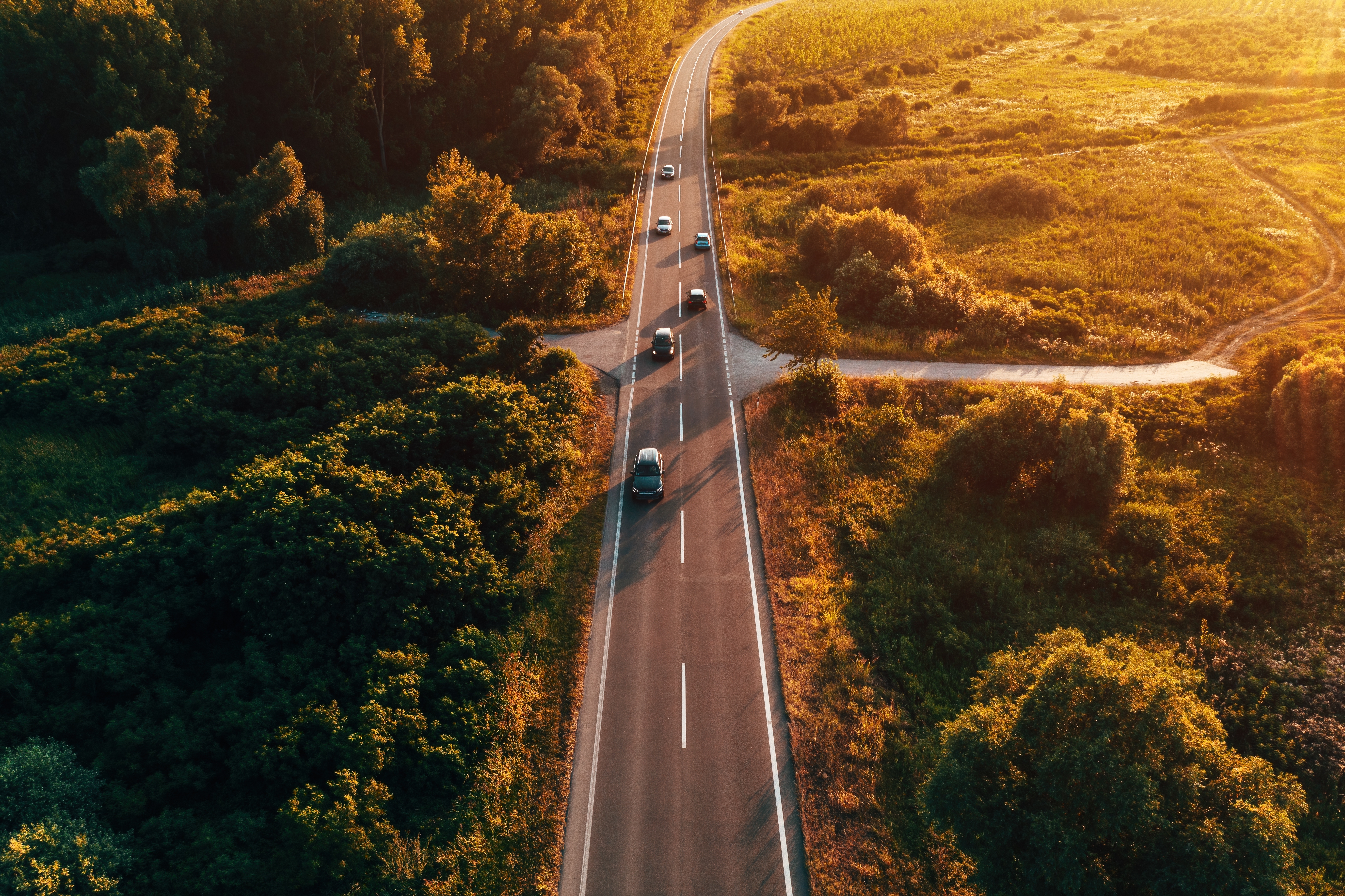 Before You Hit the Road This Bank Holiday… Read This