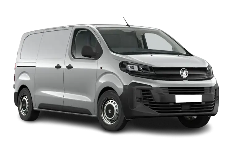 Medium Panel Vans